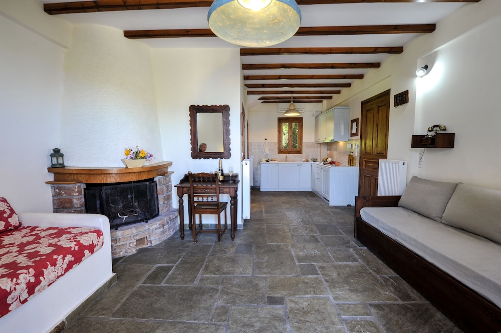 Gera's Olive Grove 24/50