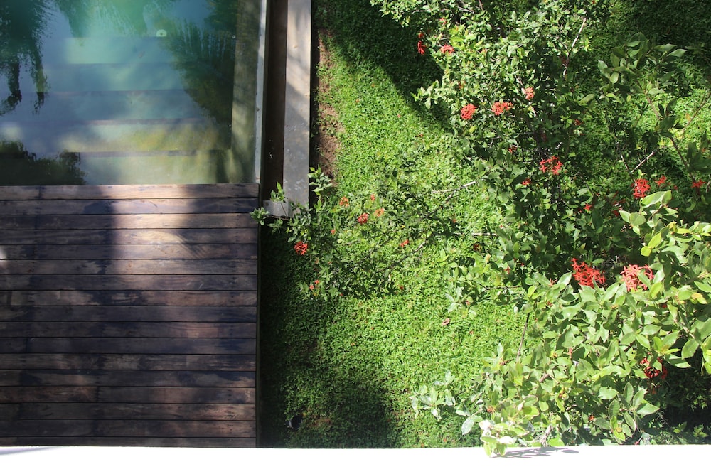 Kaju Green Eco Lodges 37/50