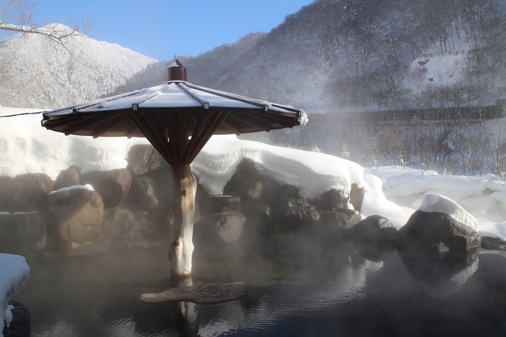 Shinzanso 29/31