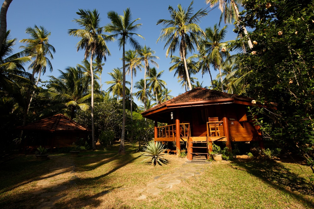 Palm Paradise Cabanas 25/33