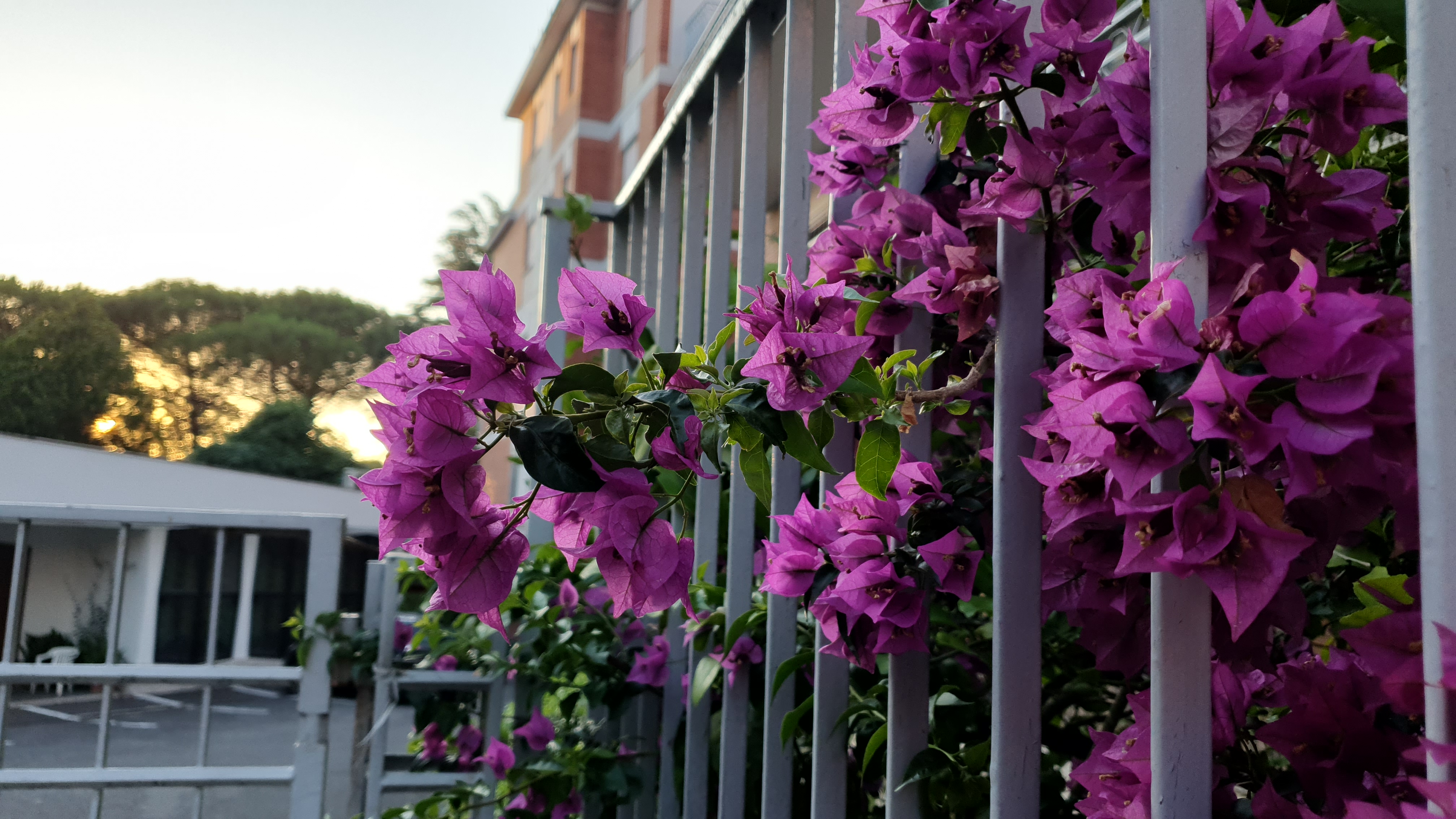 Villa Letizia - Casa Per Ferie 33/44