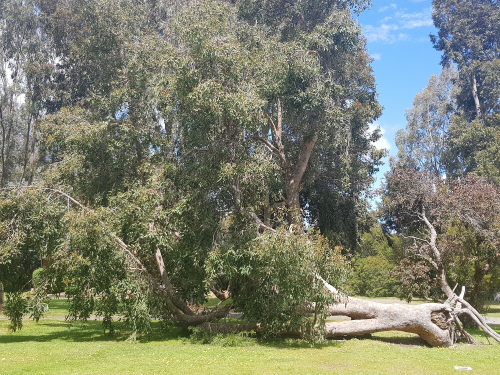 GRAMPIANS VIEW COTTAGES AND UNITS 52/64
