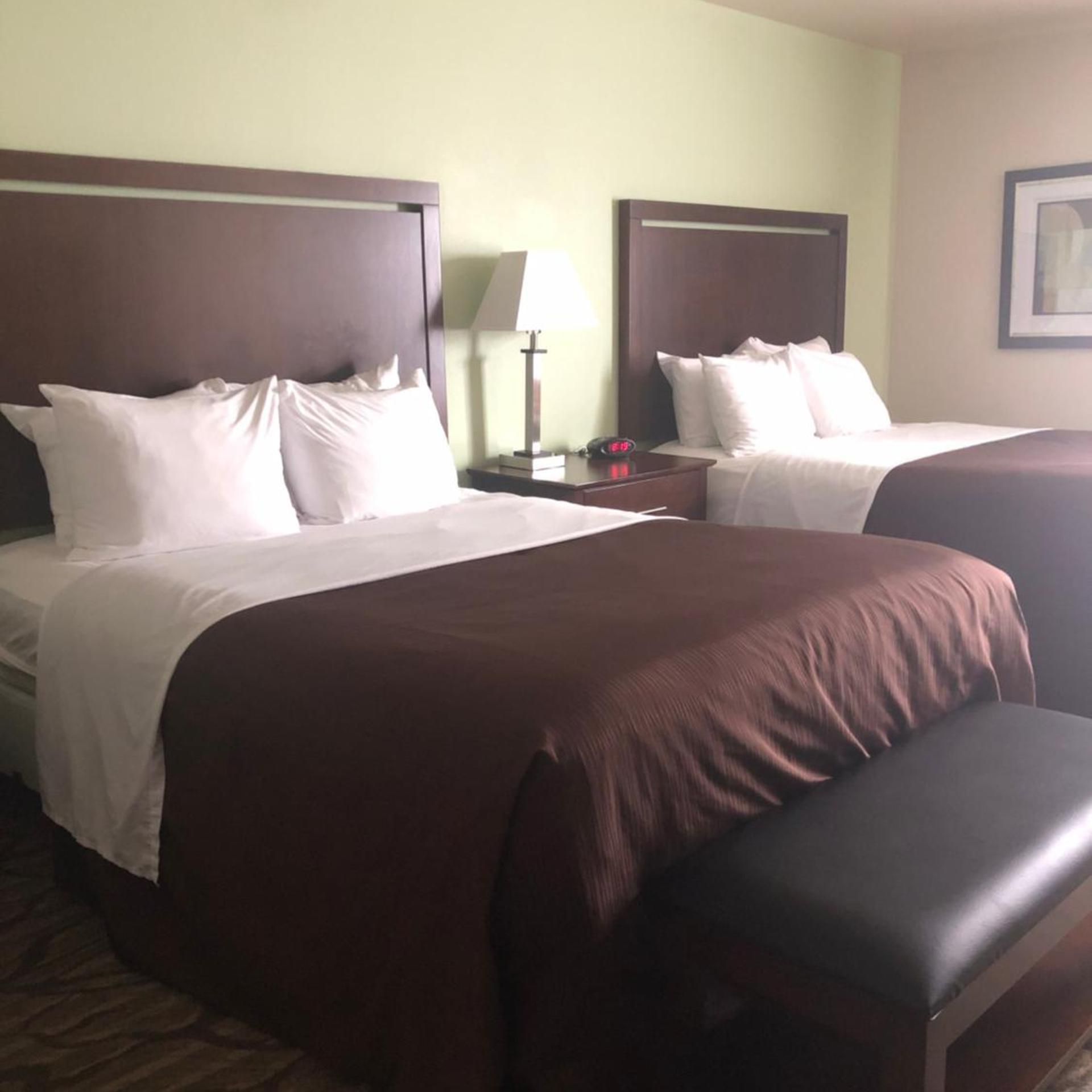 جناح ديلوكس، Aspen Suites Hotel Sitka 2/10