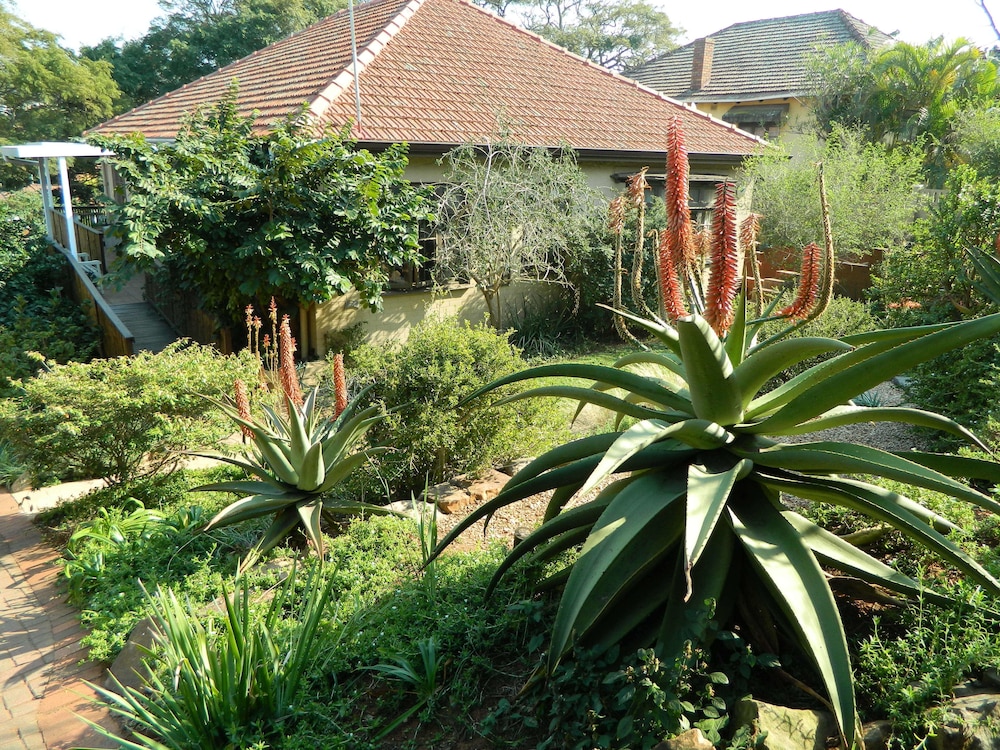 Mackaya Bella Guest House 62/71