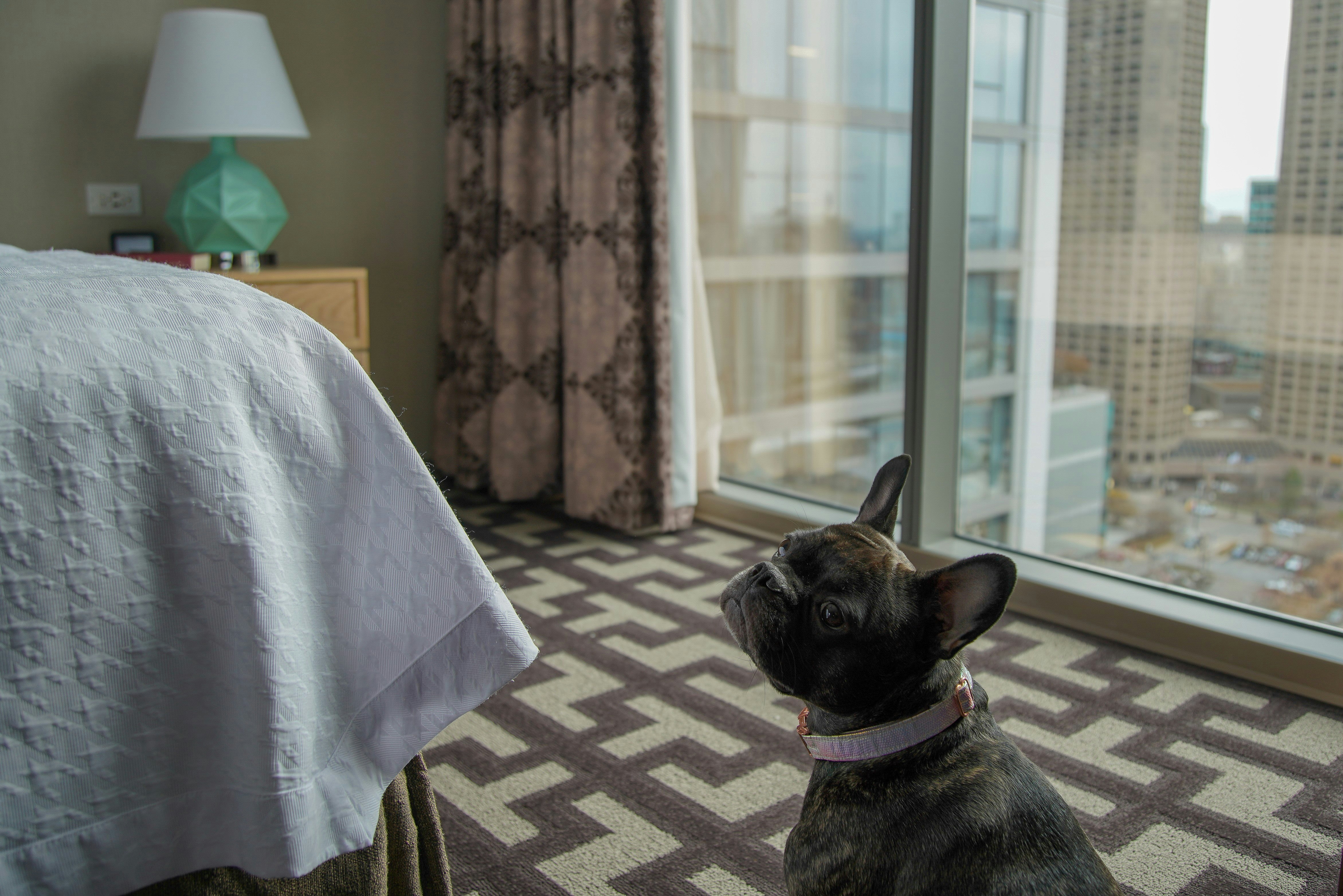 Homewood Suites by Hilton Chicago West Loop Fulton Market Area 17/48