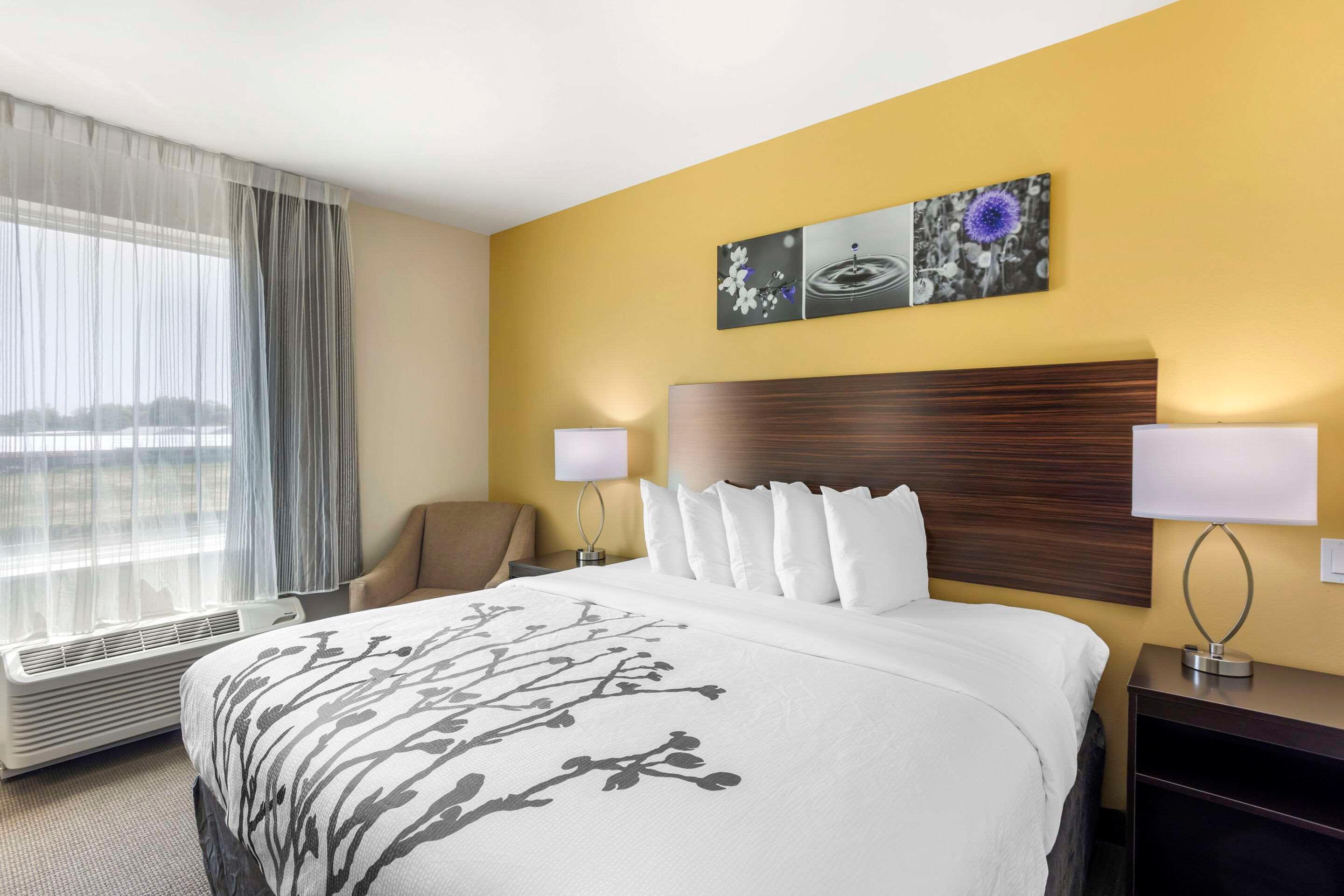 Room, King Bed