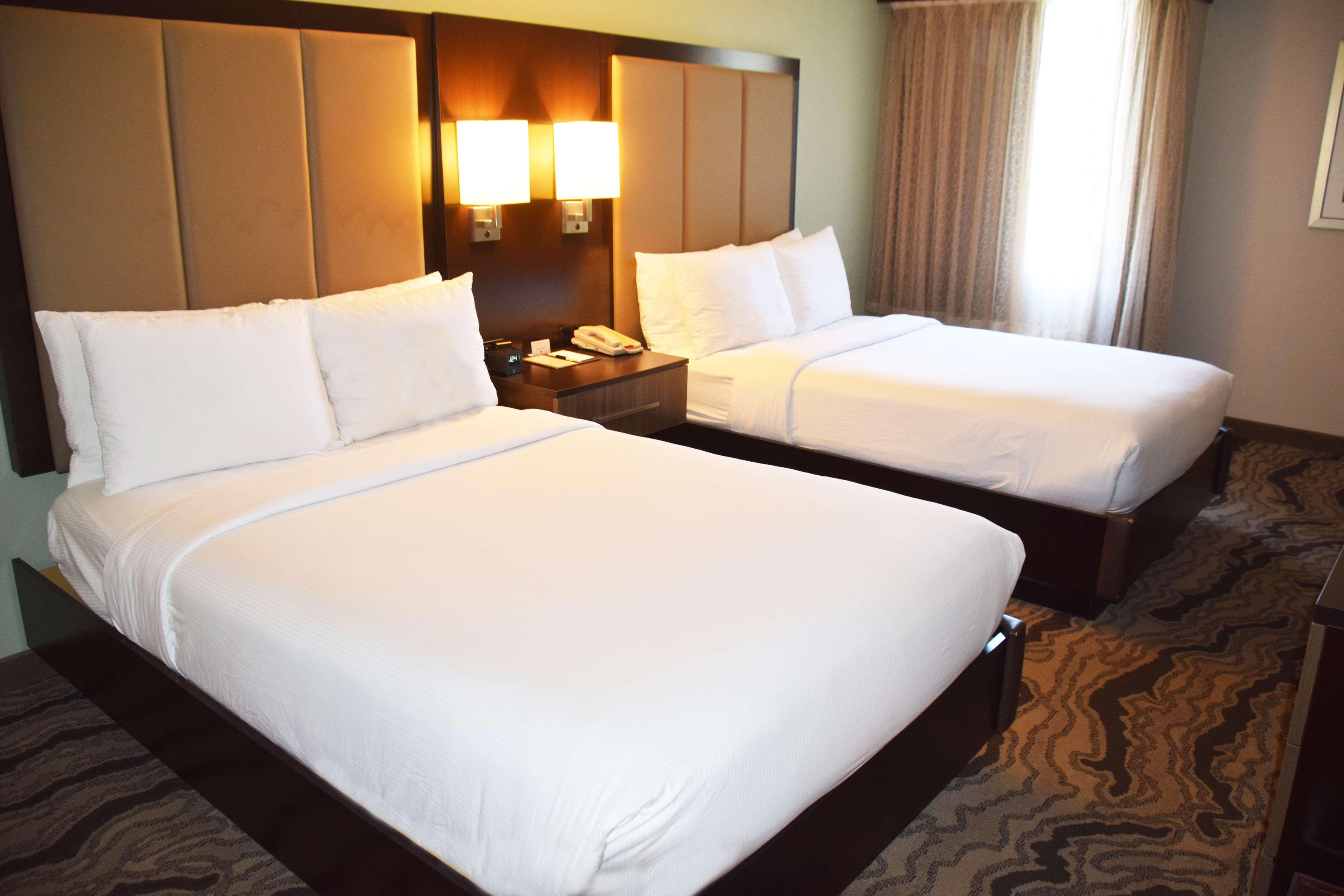 2 ROOMS, SUITE, 2 DOUBLE BEDS, KITCHEN