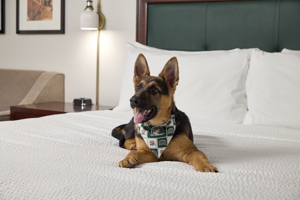Ohio University Inn Conference Center 24/60