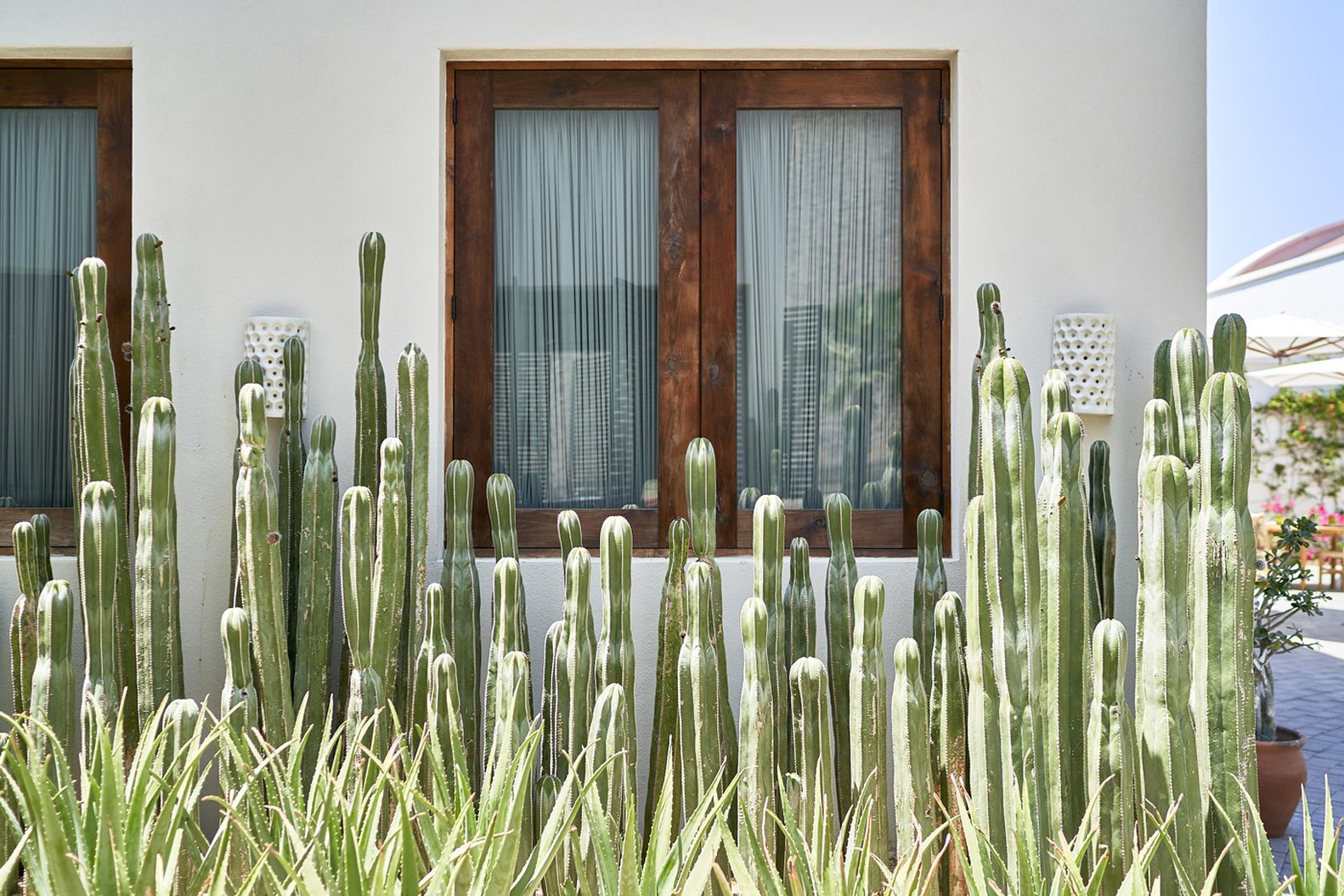 Hotel San Cristobal 4/50