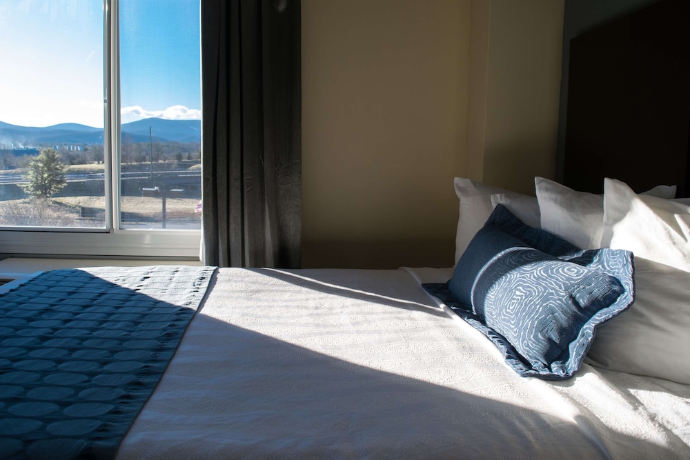Best Western Plus Waynesboro Inn & Suites Conference Center 9/33