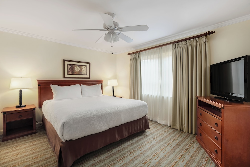 Dolphin, Suite, King Bed, Sofa