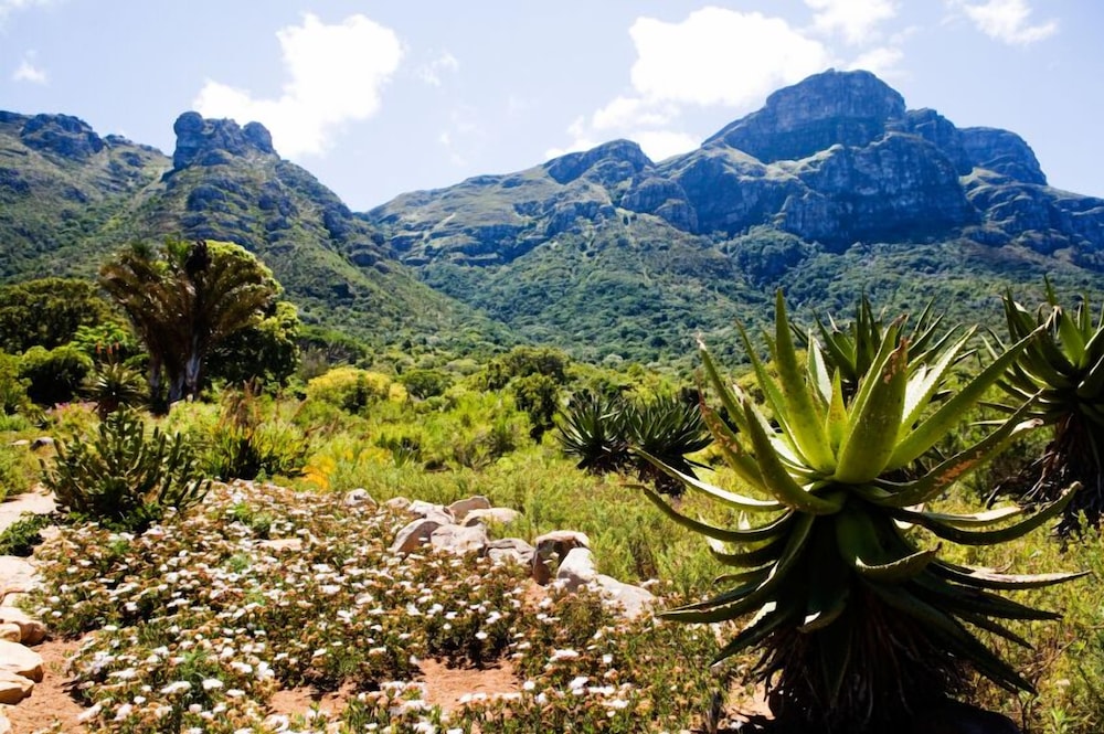 Glen Avon Lodge Boutique Hotel 22/34