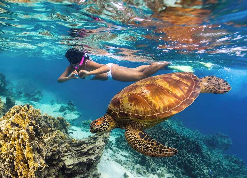 Sanctuary Rarotonga-On The Beach-Adults Only 60/62