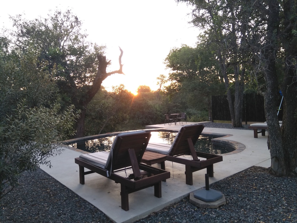 Leadwood Tree Safari Lodge 695 22/30