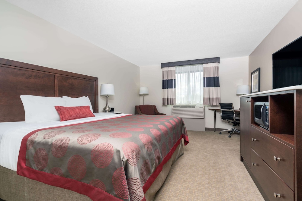 Suite, King Bed