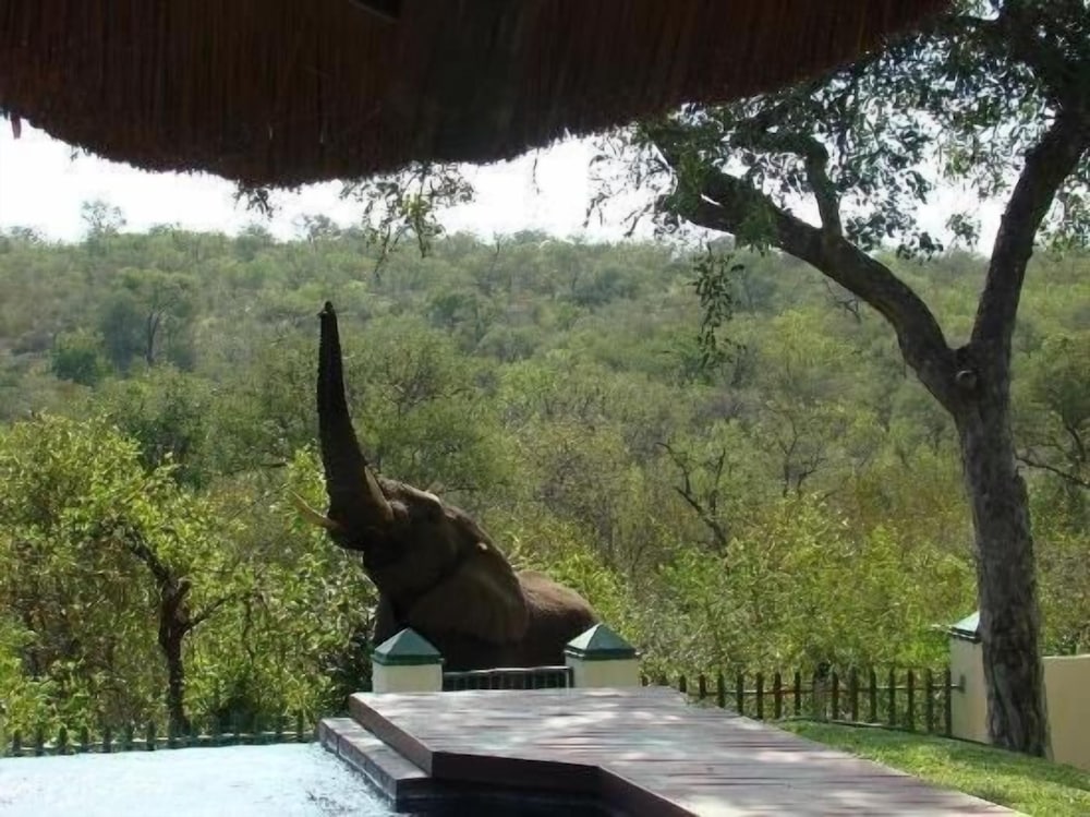 Muweti Bush Lodge 36/46