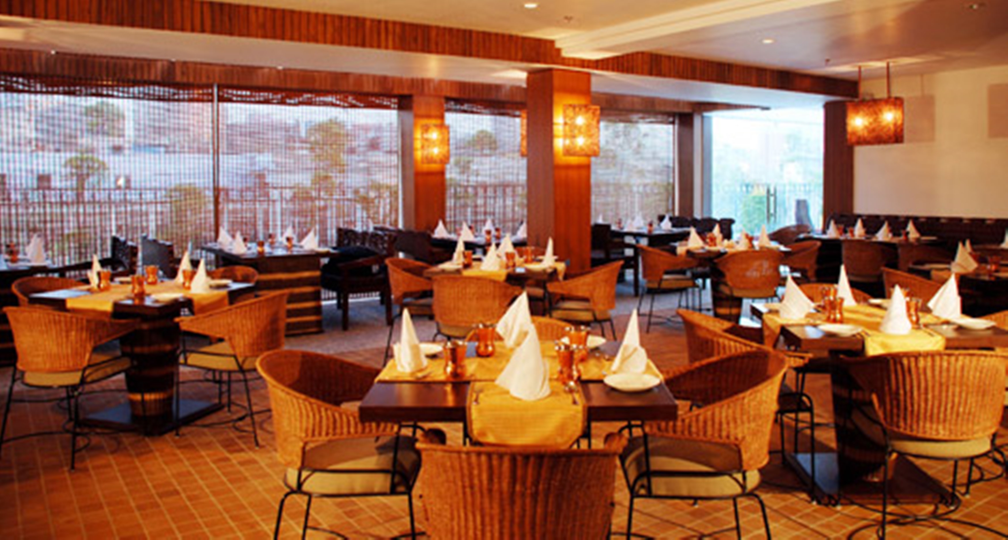 CENTAUR HOTEL,IGI AIRPORT 23/31
