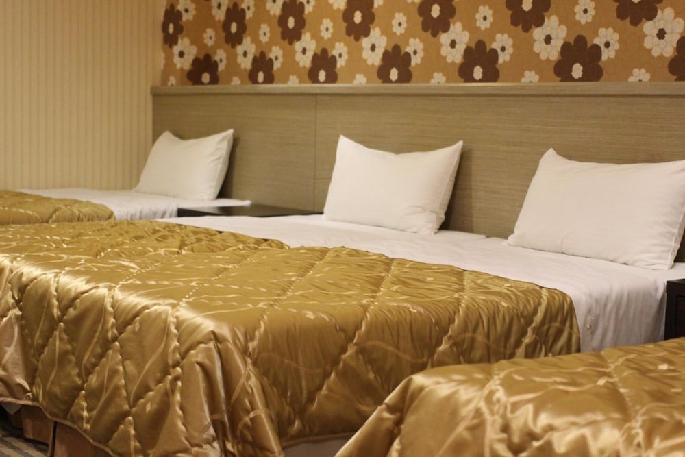 Home Full Hotel 29/43