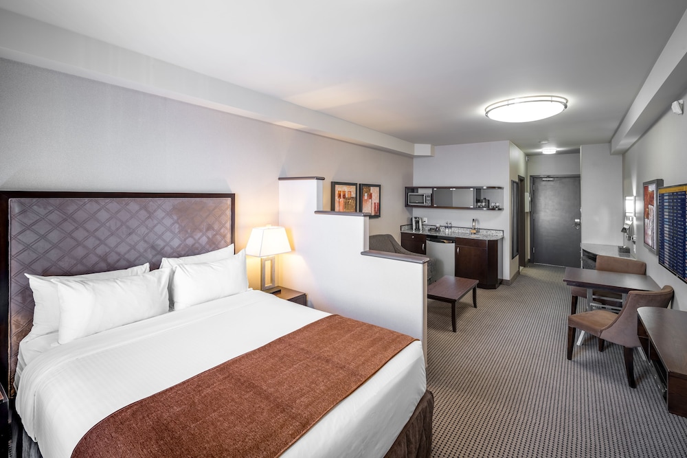 PLATINUM, STUDIO, SUITE, QUEEN BED