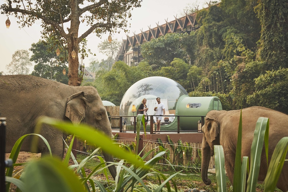 Anantara Golden Triangle Elephant Camp Resort 69/82