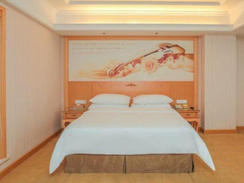 Vienna Hotel (Dongguan Dongcheng) 36/49