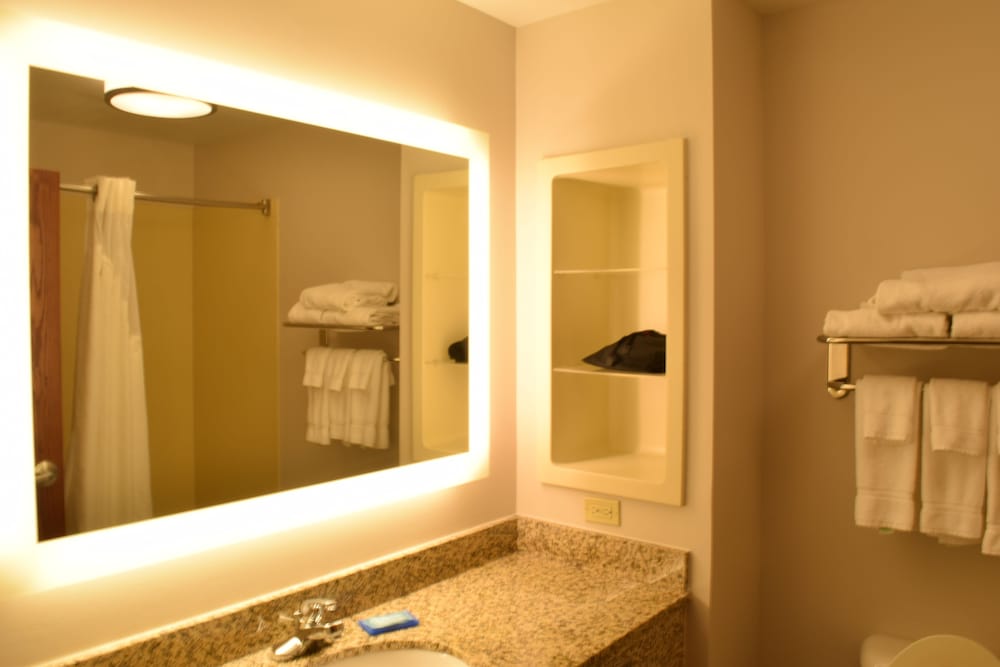 Holiday Inn Express Hotel Suites Sparta 14/49