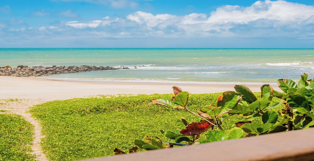 Paraiso Natal 59/64