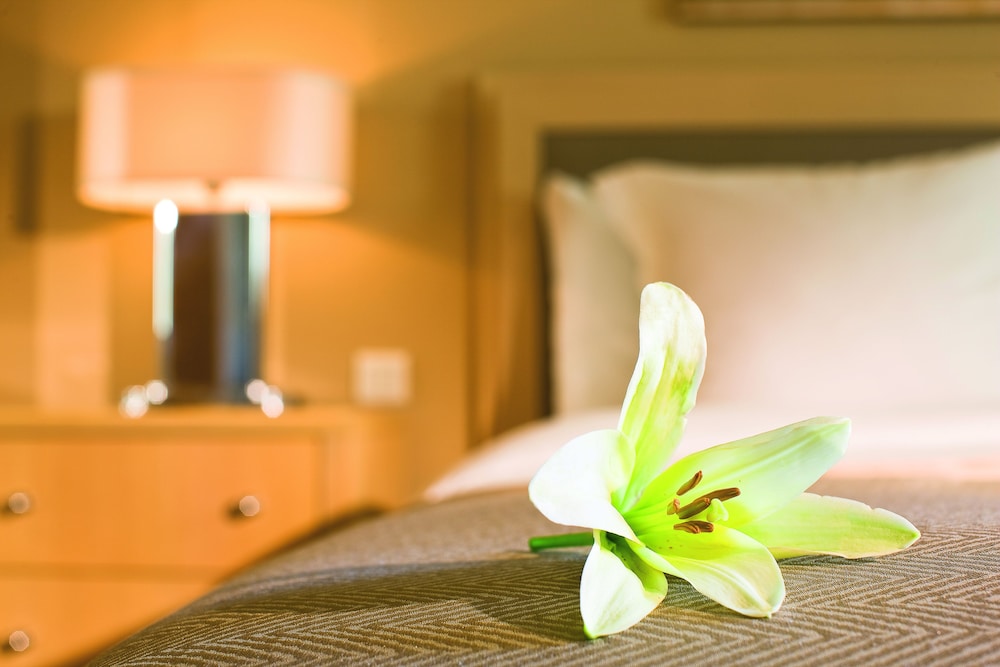 清迈苏瑞旺斯酒店(Movenpick Suriwongse Hotel Chiang Mai) 图片2