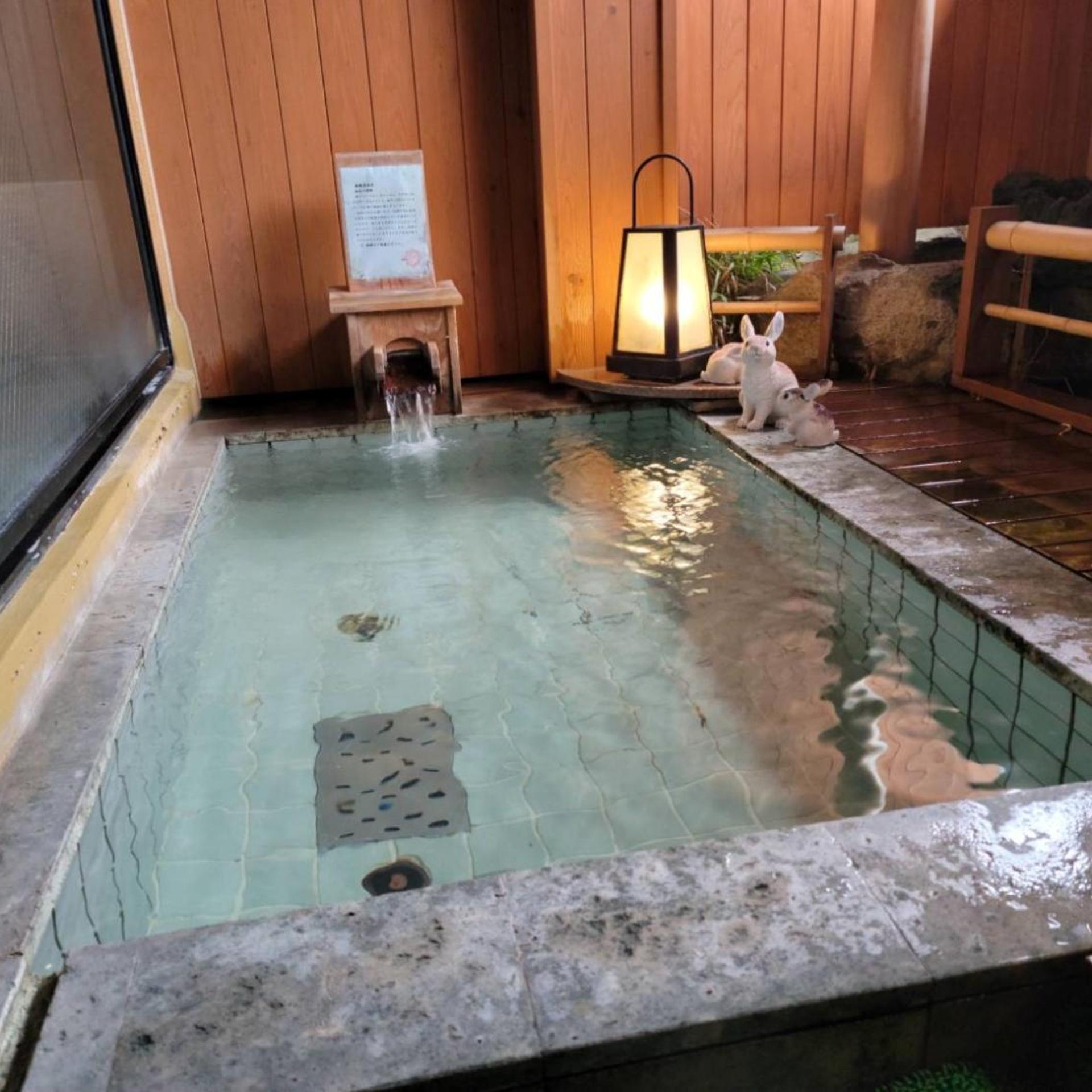 Okutsumagoi Onsen Hanaichi Hoshikawa Ryokan 34/59