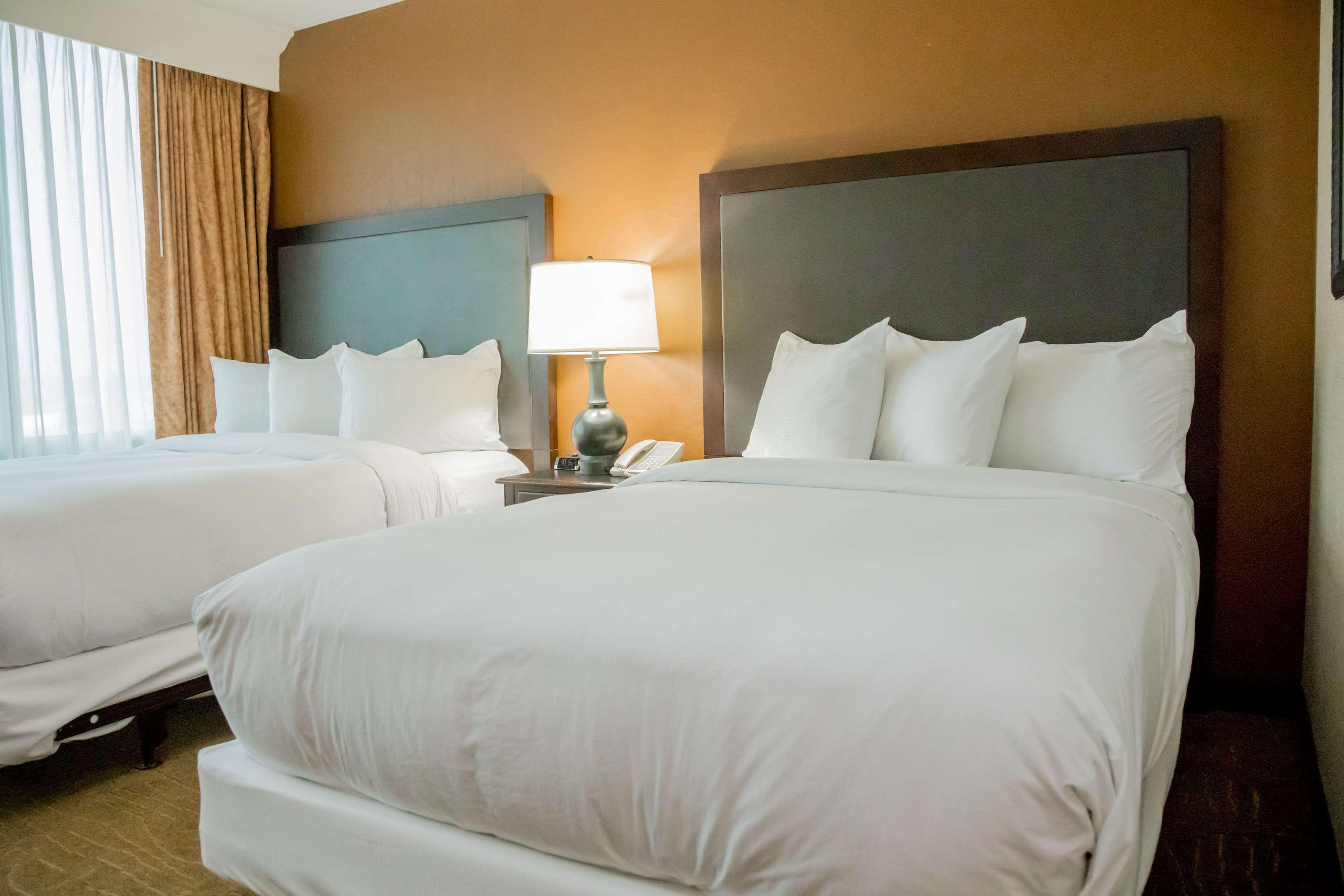 2 ROOMS, PREMIUM, SUITE, 2 DOUBLE BEDS