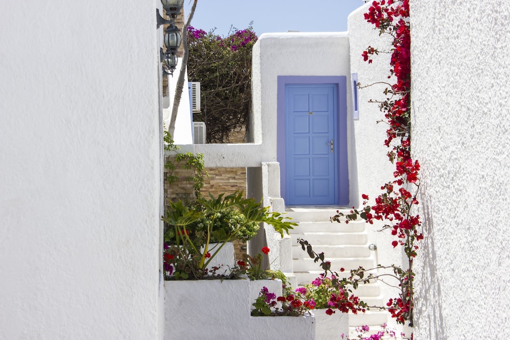 Naxos Holidays 13/64