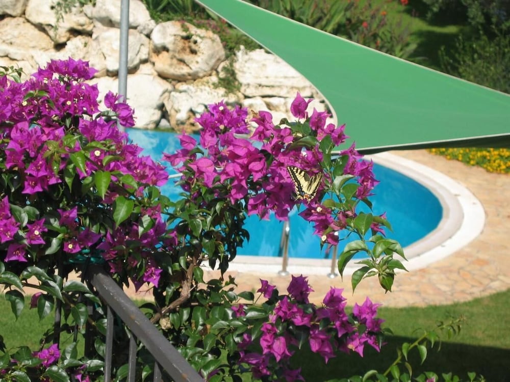 Villa Vacanze Paradiso 41/50