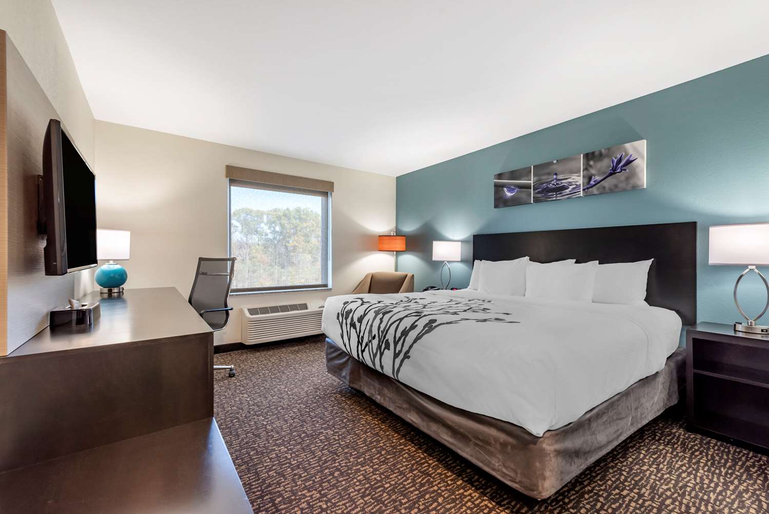 Room, King Bed, Accessible
