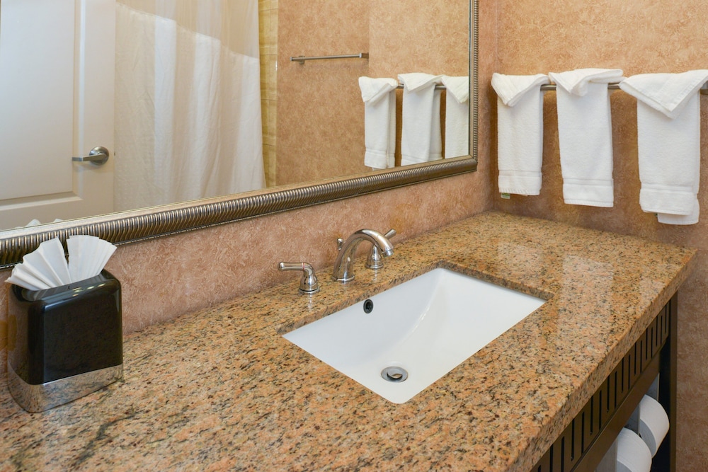 Holiday Inn Express & Suites Royse City - Rockwall, an IHG Hotel 29/70