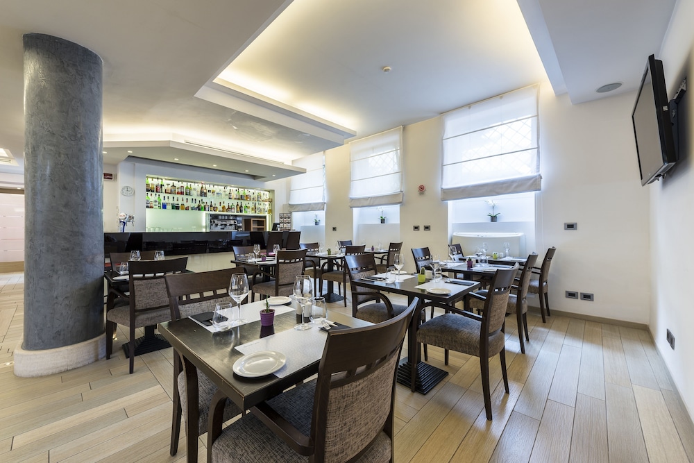 Occidental Aurelia 33/50