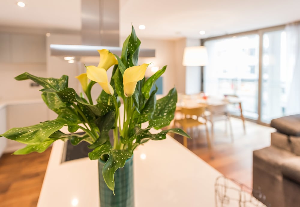 SmartRental Collection Gran Via Centric II 40/57