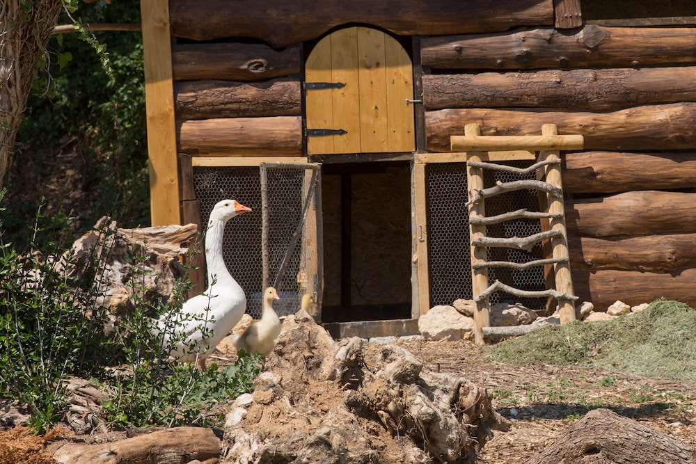 Le Anfore Agriturismo 32/70