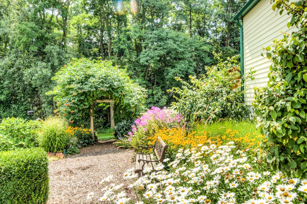 Los Gatos Bed & Breakfast 35/50