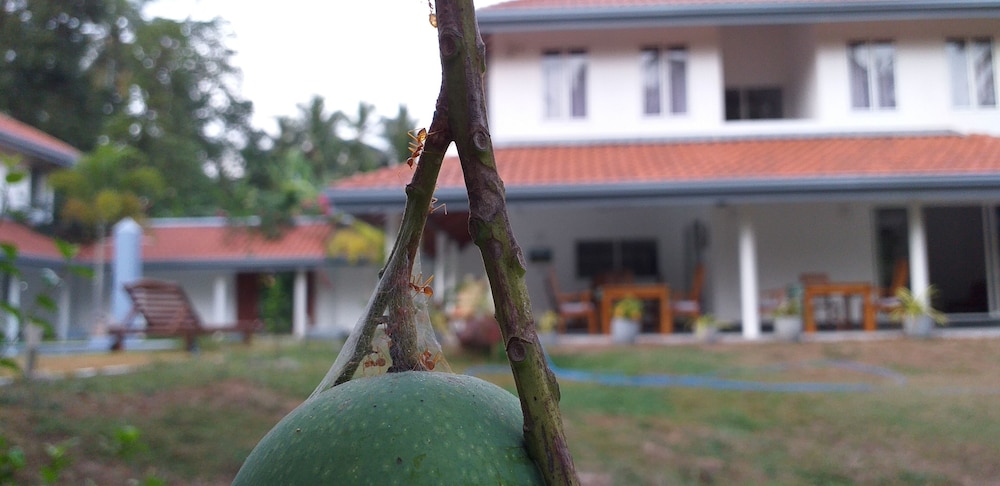 Anuhas Airport Villas 21/44