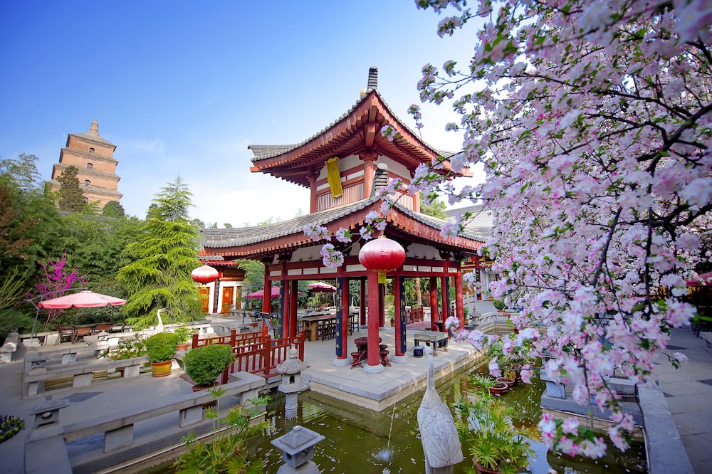 Tang Dynasty Art Garden Hotel 3/49
