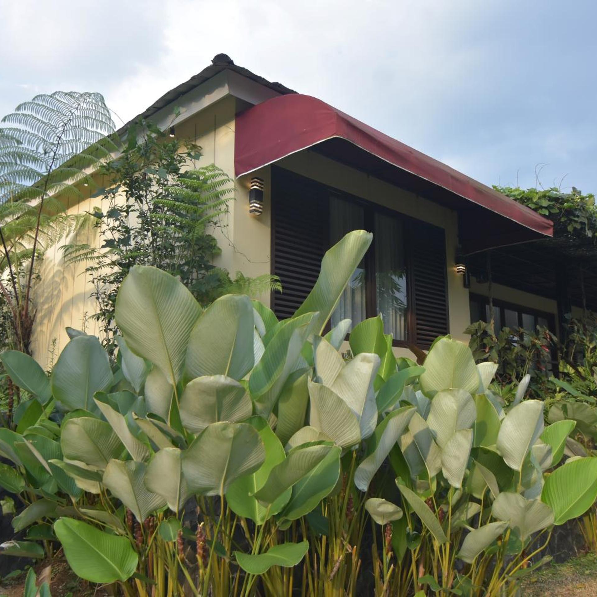 Sarga Earthing Resort 2/50