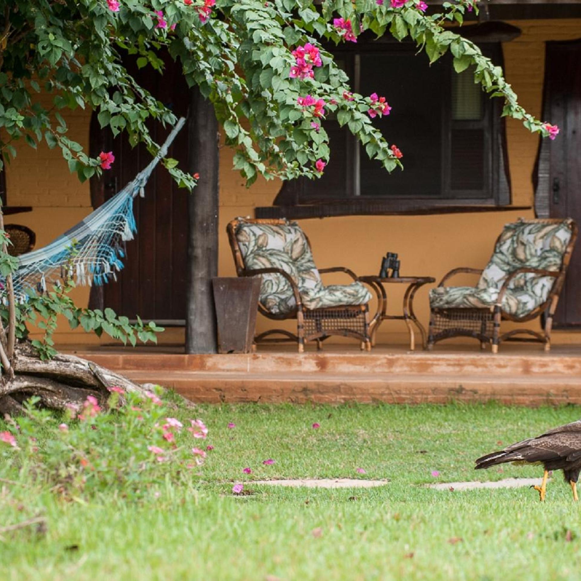 Pousada Araras Eco Lodge 37/50
