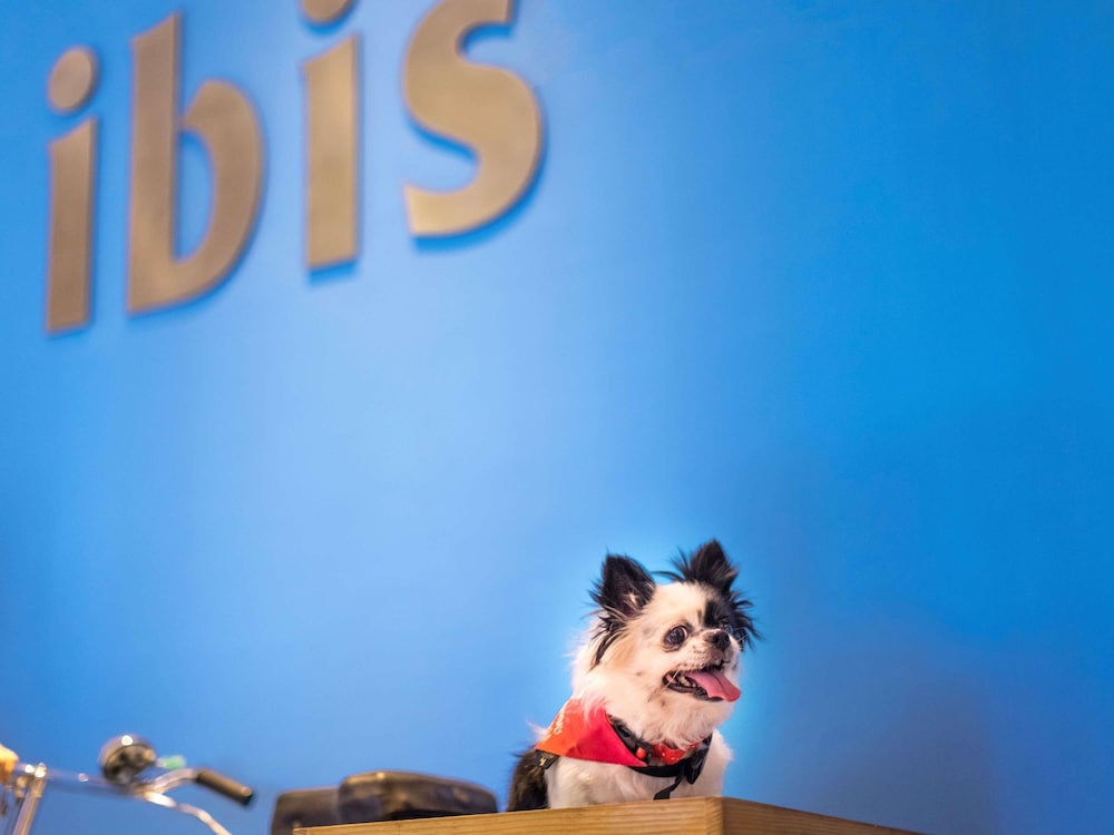 Ibis Amsterdam City West Hotel 58/63