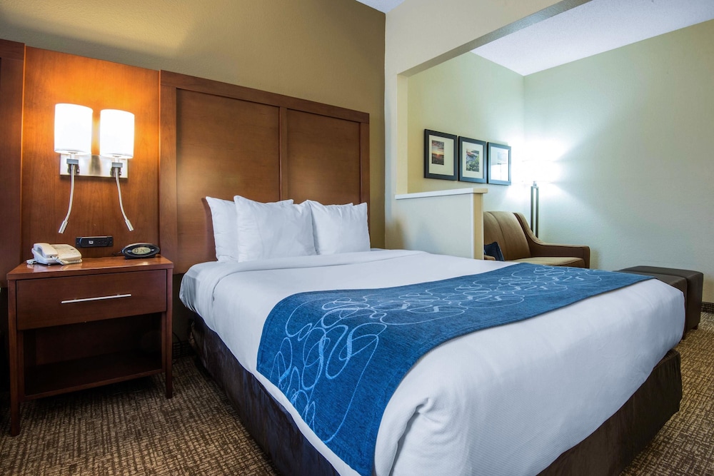 Comfort Suites Rochester Henrietta University Area 8/40