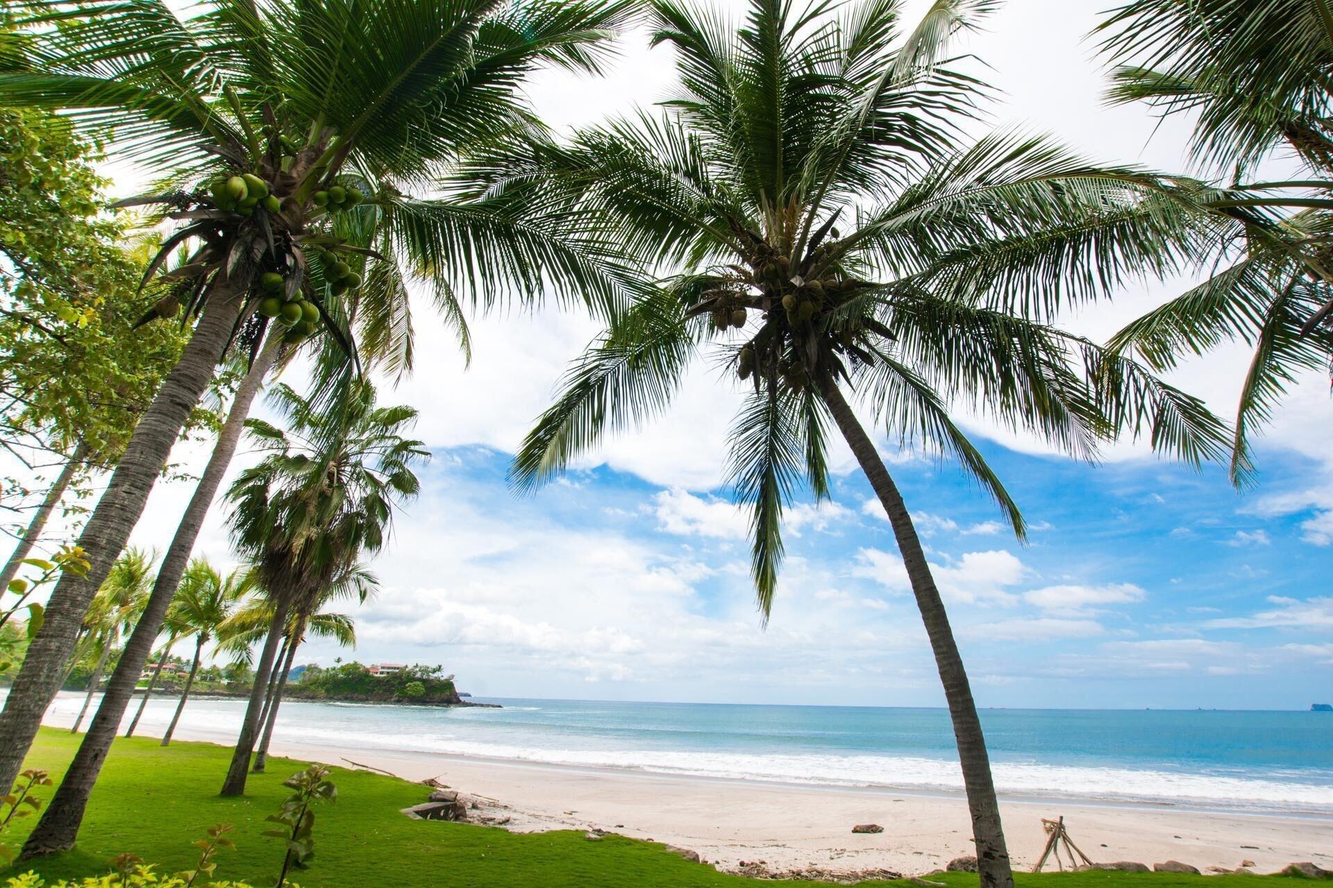 Spectacular - Spacious unit in Flamingo in front of the beach 24/34