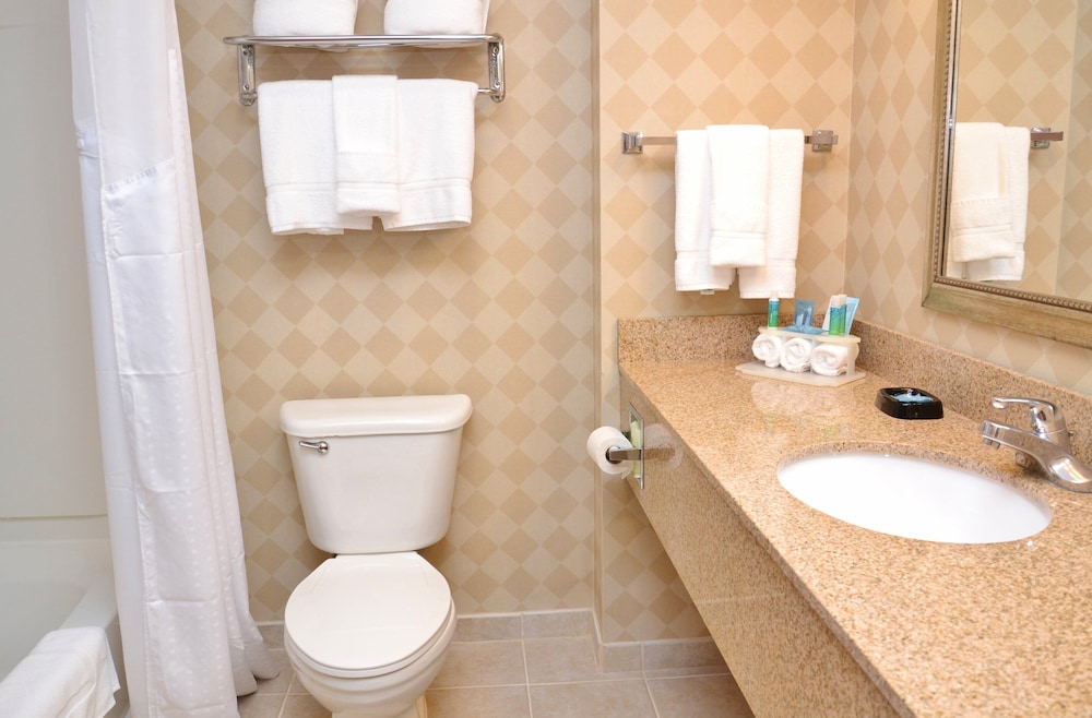 Holiday Inn Express Suites Center Township 20/78