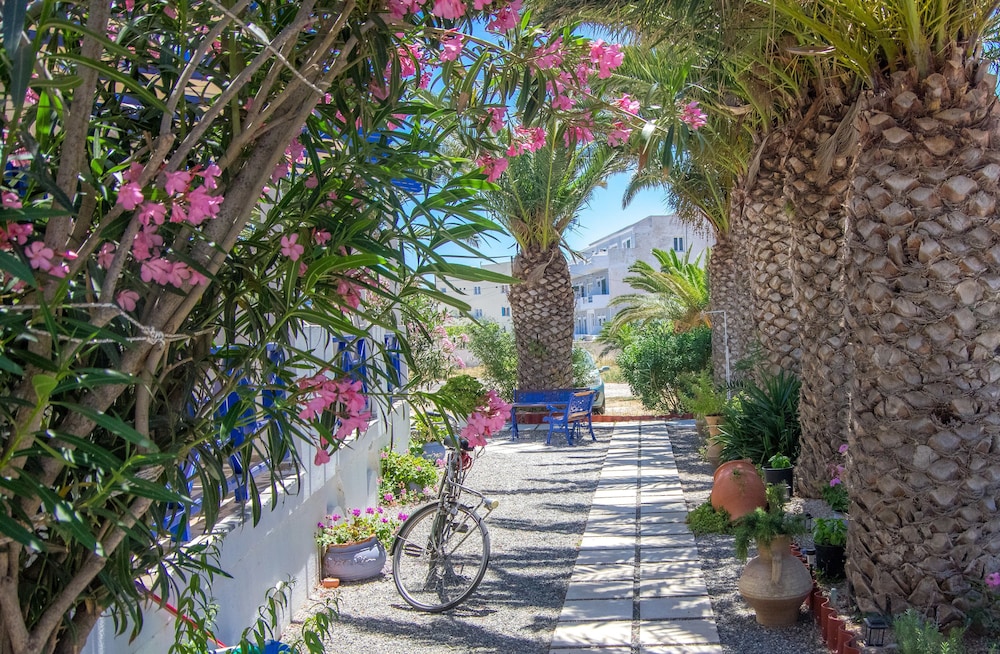 Syros Atlantis Hotel 44/50