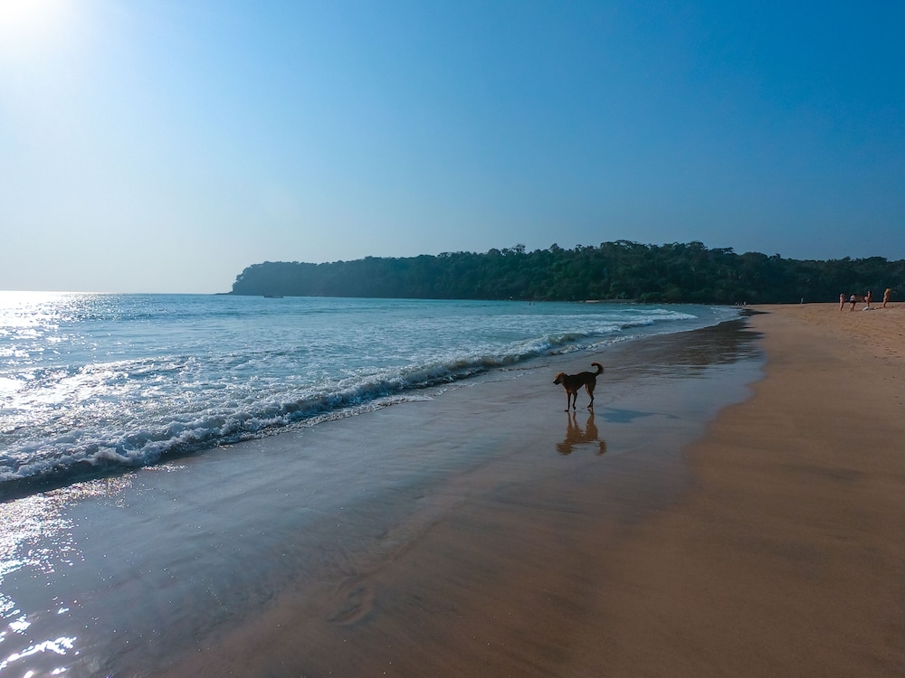 Hotel Resort Ducknchill-Agonda 47/50