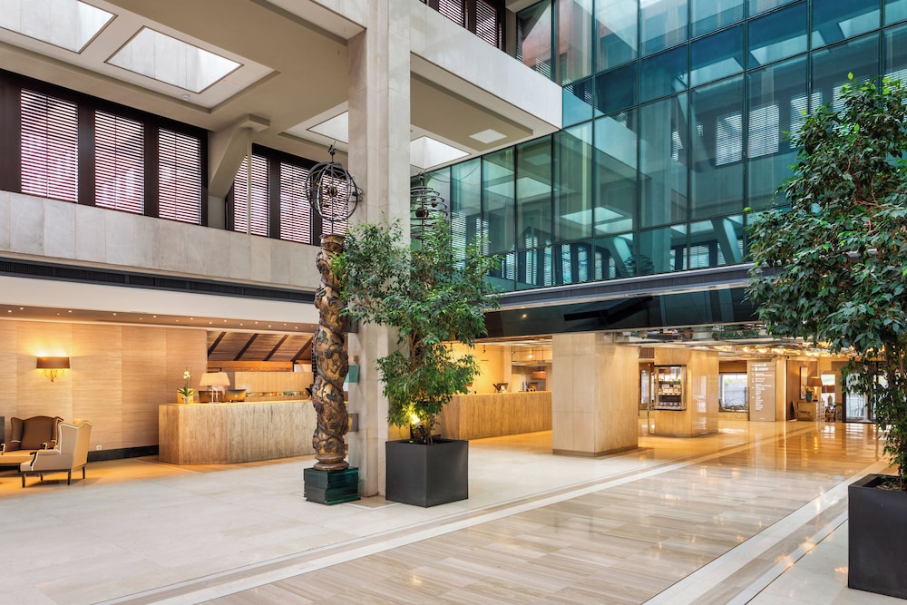 Melia Castilla Hotel in MADRID