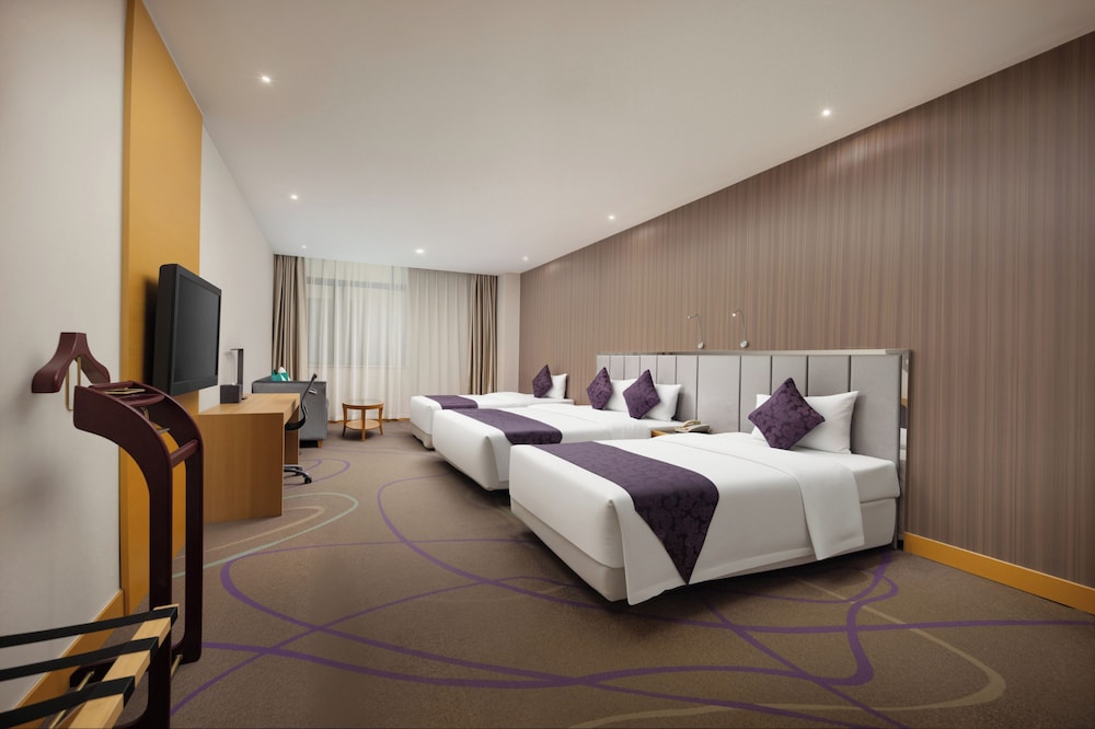 Dorsett Wuhan Hotel 17/50